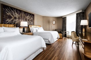 多伦多机场威斯汀酒店（The Westin Toronto Airport） 静谧与便利的完美融合